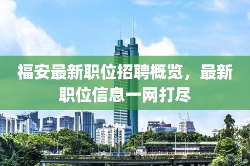福安最新职位招聘概览，最新职位信息一网打尽