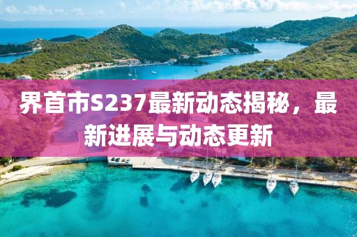 界首市S237最新动态揭秘，最新进展与动态更新