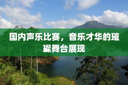 国内声乐比赛，音乐才华的璀璨舞台展现