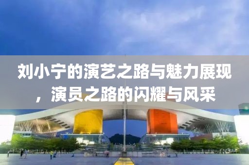 刘小宁的演艺之路与魅力展现，演员之路的闪耀与风采