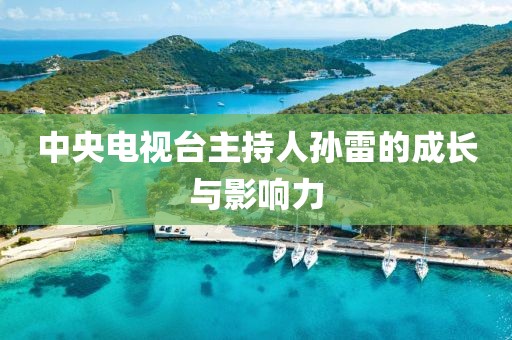 美丽的过往 第2页