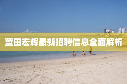 蓝田宏辉最新招聘信息全面解析