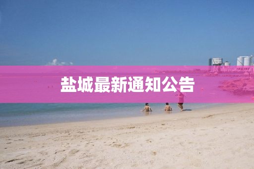 文觅儿 第3页