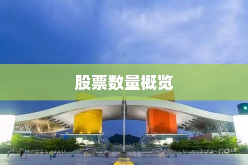 股票数量概览