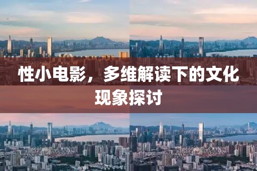 性小电影，多维解读下的文化现象探讨