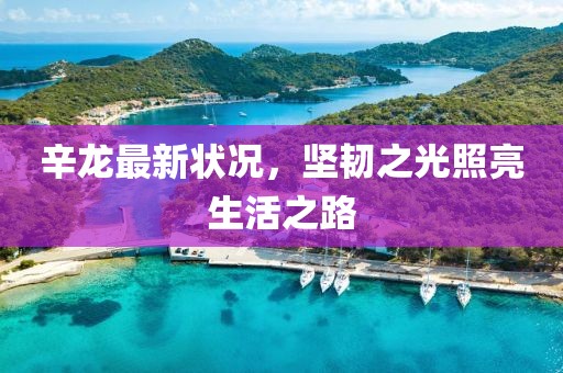 辛龙最新状况，坚韧之光照亮生活之路