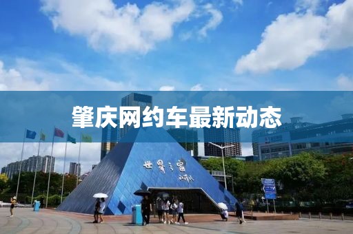 肇庆网约车最新动态