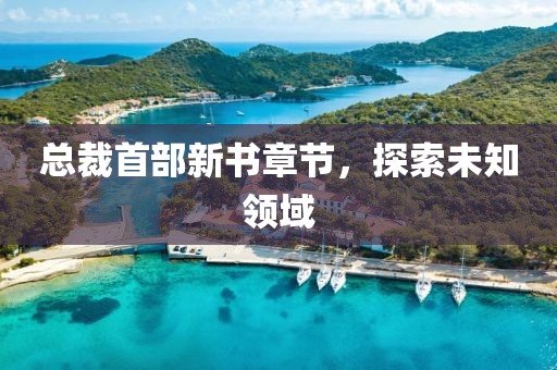 总裁首部新书章节，探索未知领域