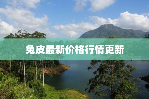 兔皮最新价格行情更新