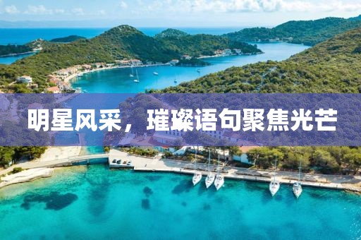 明星风采，璀璨语句聚焦光芒