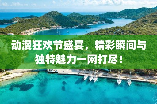 动漫狂欢节盛宴，精彩瞬间与独特魅力一网打尽！