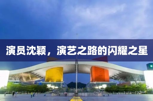 演员沈颖，演艺之路的闪耀之星