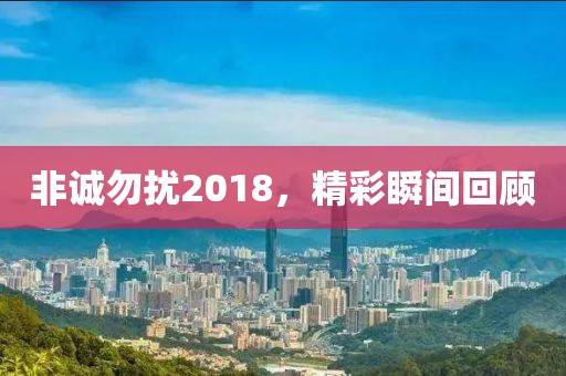 非诚勿扰2018，精彩瞬间回顾