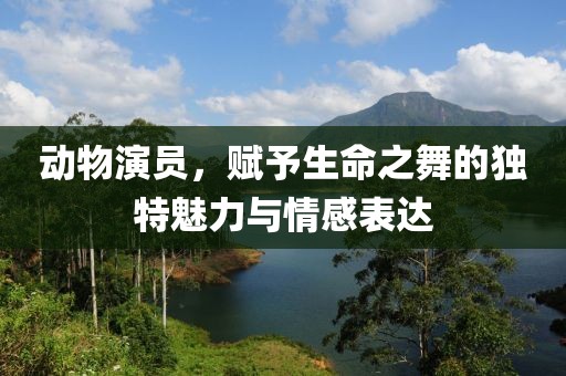 动物演员，赋予生命之舞的独特魅力与情感表达