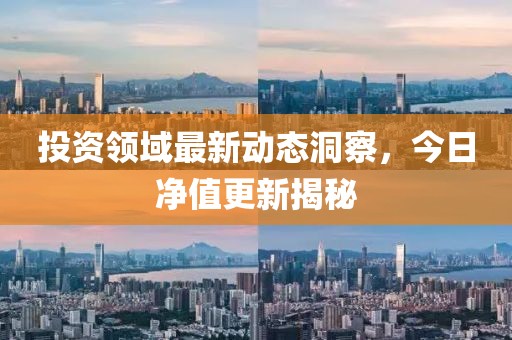 投资领域最新动态洞察，今日净值更新揭秘