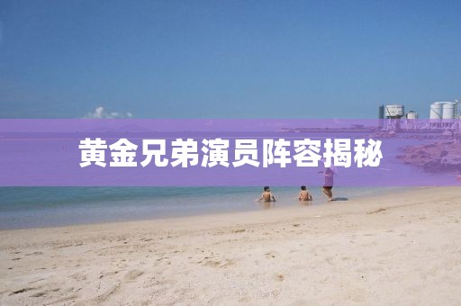 黄金兄弟演员阵容揭秘