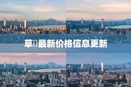 草菓最新价格信息更新