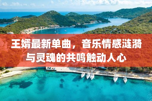 王婿最新单曲，音乐情感涟漪与灵魂的共鸣触动人心