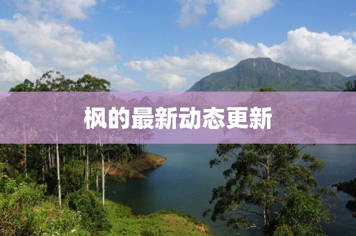 枫的最新动态更新
