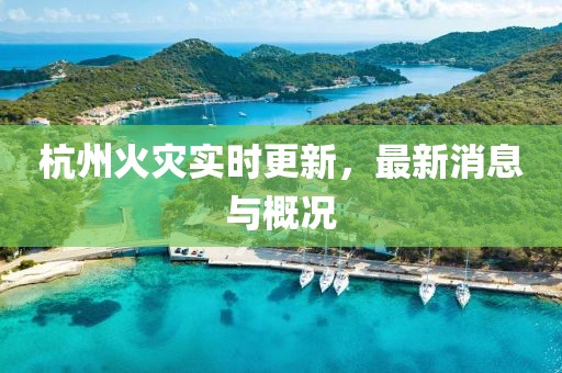 杭州火灾实时更新，最新消息与概况
