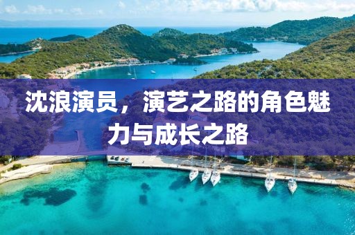 沈浪演员，演艺之路的角色魅力与成长之路