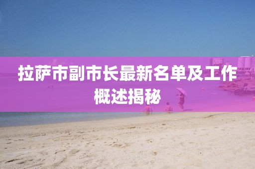 拉萨市副市长最新名单及工作概述揭秘