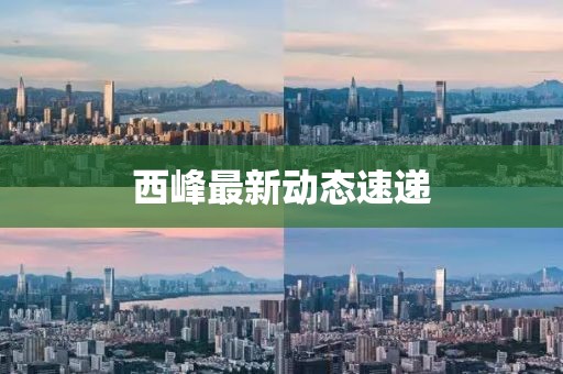 呼瑞锦 第2页