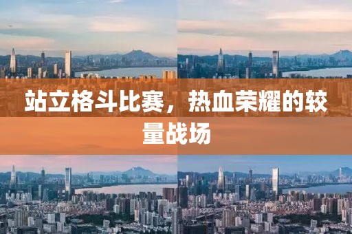 站立格斗比赛，热血荣耀的较量战场