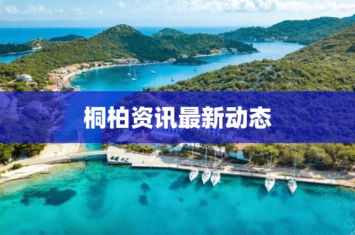 桐柏资讯最新动态