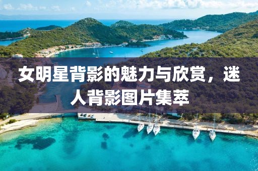 女明星背影的魅力与欣赏，迷人背影图片集萃