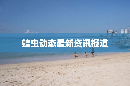 蝗虫动态最新资讯报道
