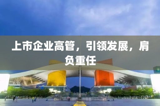 上市企业高管，引领发展，肩负重任