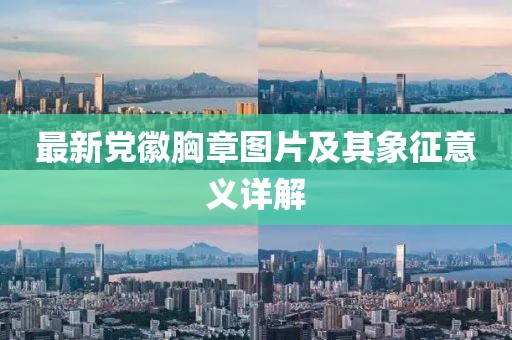 最新党徽胸章图片及其象征意义详解
