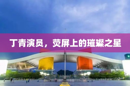 丁青演员，荧屏上的璀璨之星