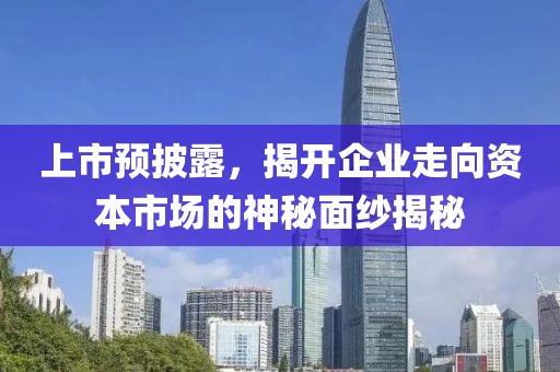 上市预披露，揭开企业走向资本市场的神秘面纱揭秘