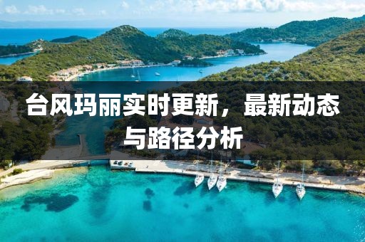 台风玛丽实时更新，最新动态与路径分析