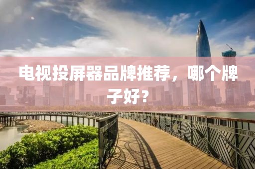 电视投屏器品牌推荐，哪个牌子好？
