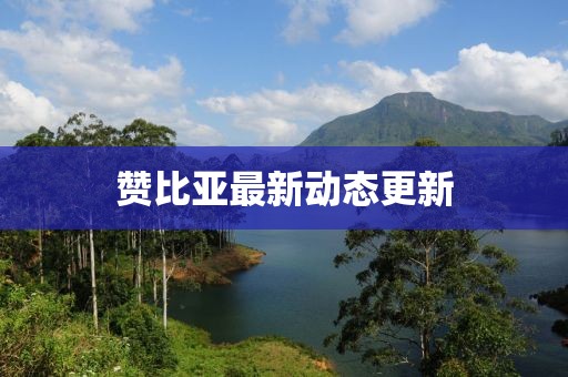 赞比亚最新动态更新