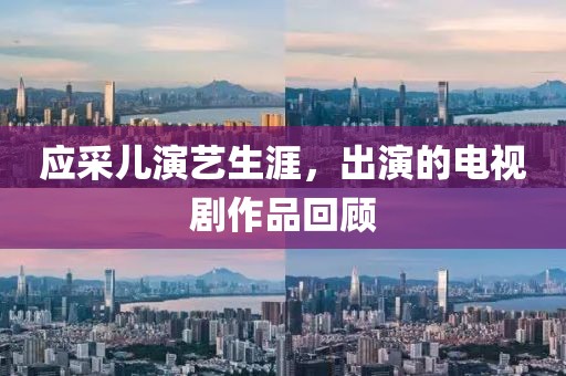 应采儿演艺生涯，出演的电视剧作品回顾