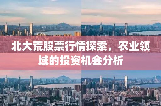 北大荒股票行情探索，农业领域的投资机会分析