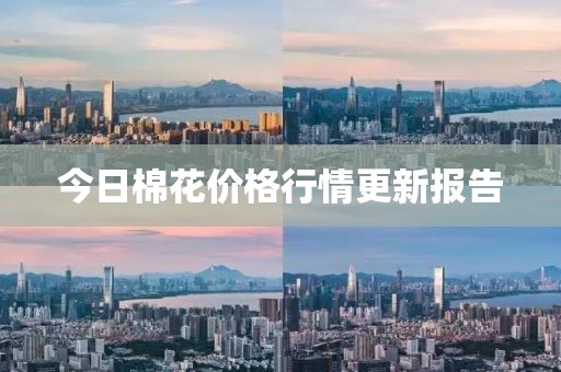 今日棉花价格行情更新报告