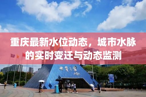 重庆最新水位动态，城市水脉的实时变迁与动态监测