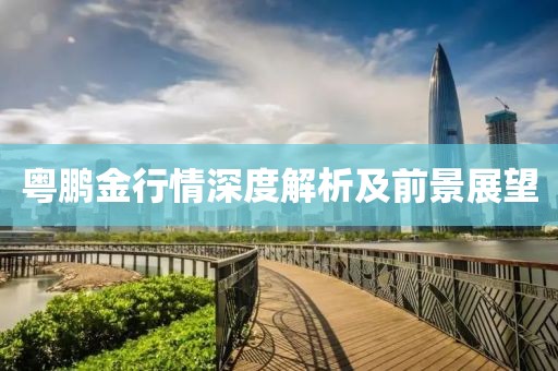 粤鹏金行情深度解析及前景展望