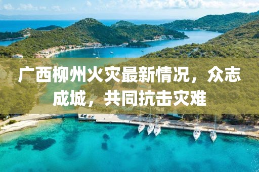 广西柳州火灾最新情况，众志成城，共同抗击灾难