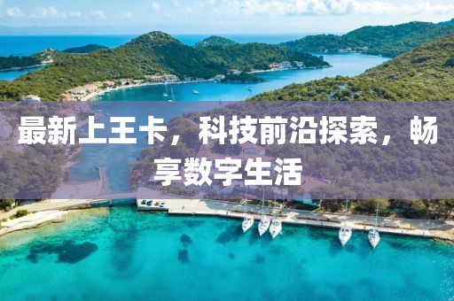 最新上王卡，科技前沿探索，畅享数字生活