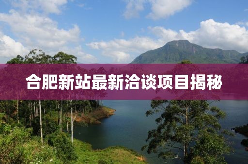 合肥新站最新洽谈项目揭秘