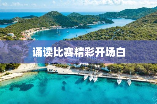 诵读比赛精彩开场白