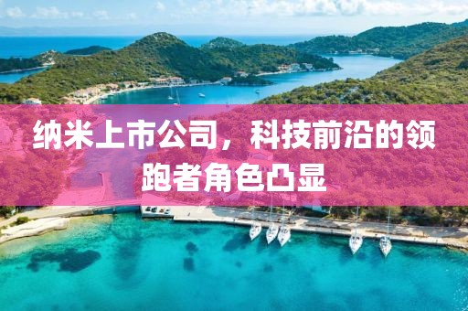 纳米上市公司，科技前沿的领跑者角色凸显