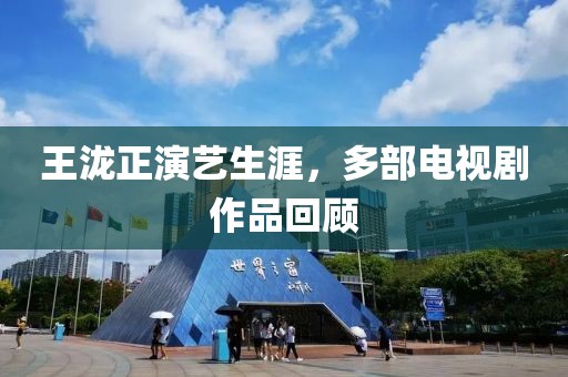 王泷正演艺生涯，多部电视剧作品回顾