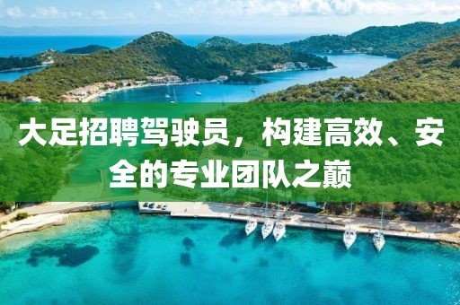 大足招聘驾驶员，构建高效、安全的专业团队之巅
